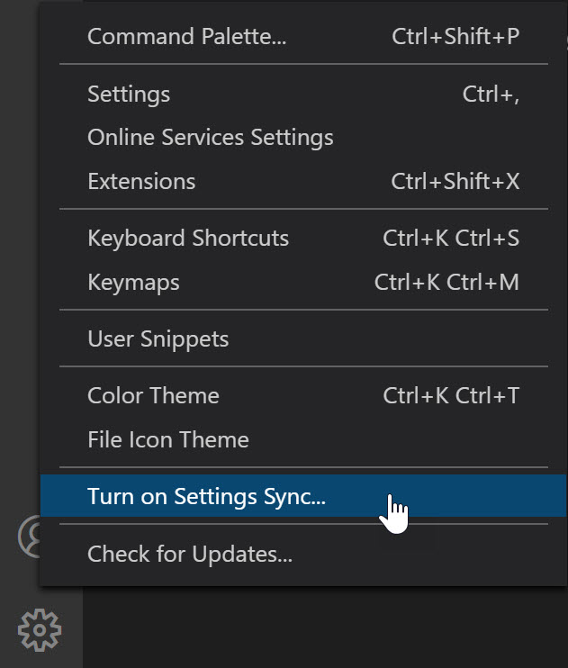 Settings Sync for Visual Studio Code | Jason N. Gaylord